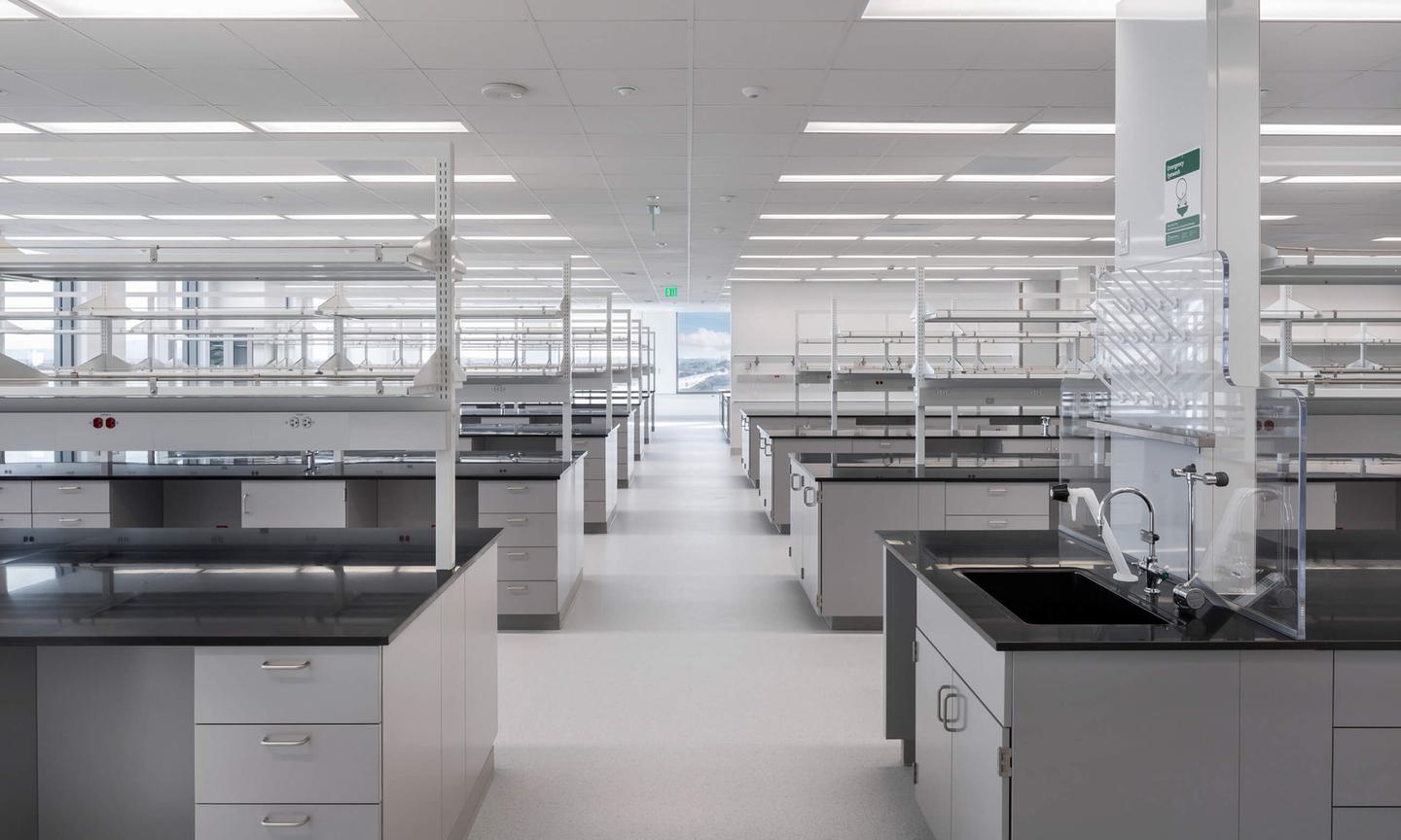 Illumina B6 Tenant… BNBuilders Commercial Building Solutions